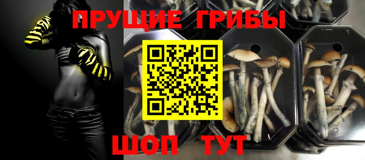 Псилоцибиновые грибы Cubensis  Вход с VPN  Грозный 